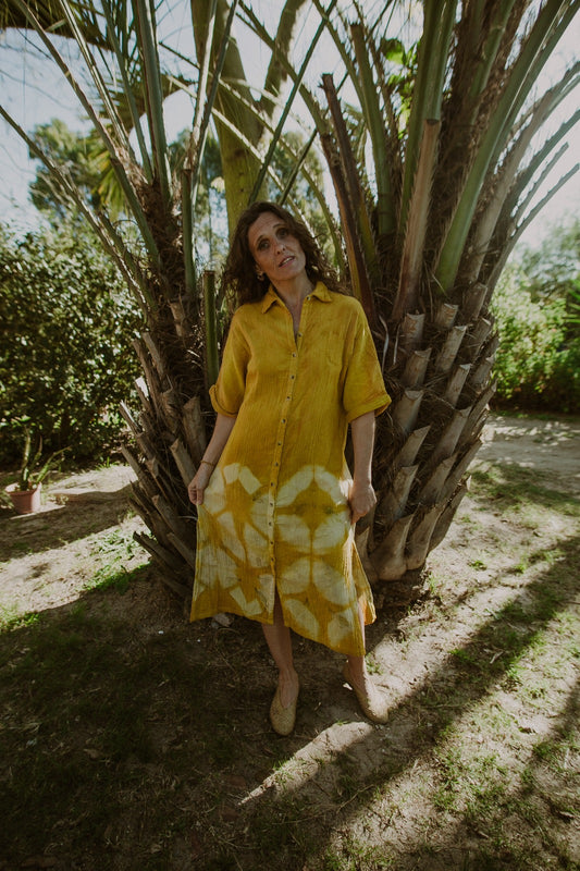 Crisantemo amarillo